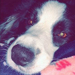 Meet your Posher, Taylor